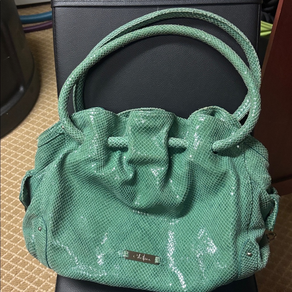 Cole Haan Green Snake Print Bag